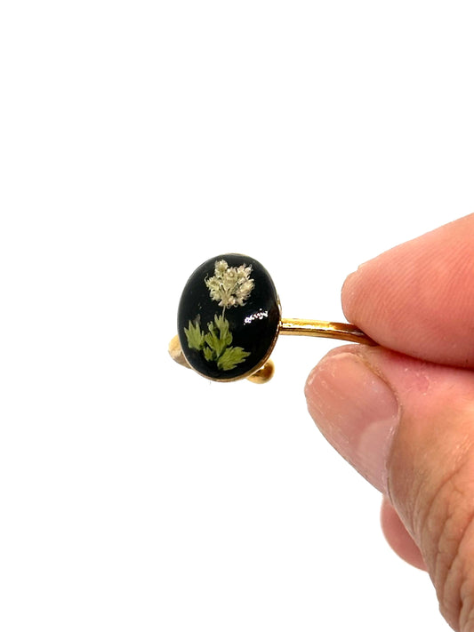 Anillo ajustable Björn loka