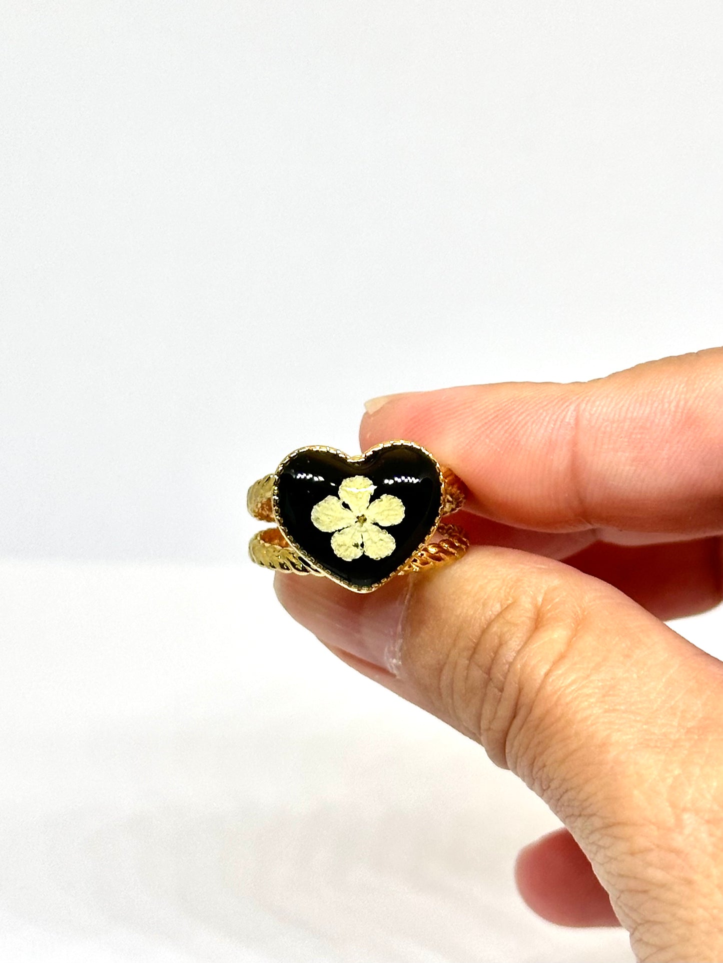 Vitklöverblomring - svart bakgrund 