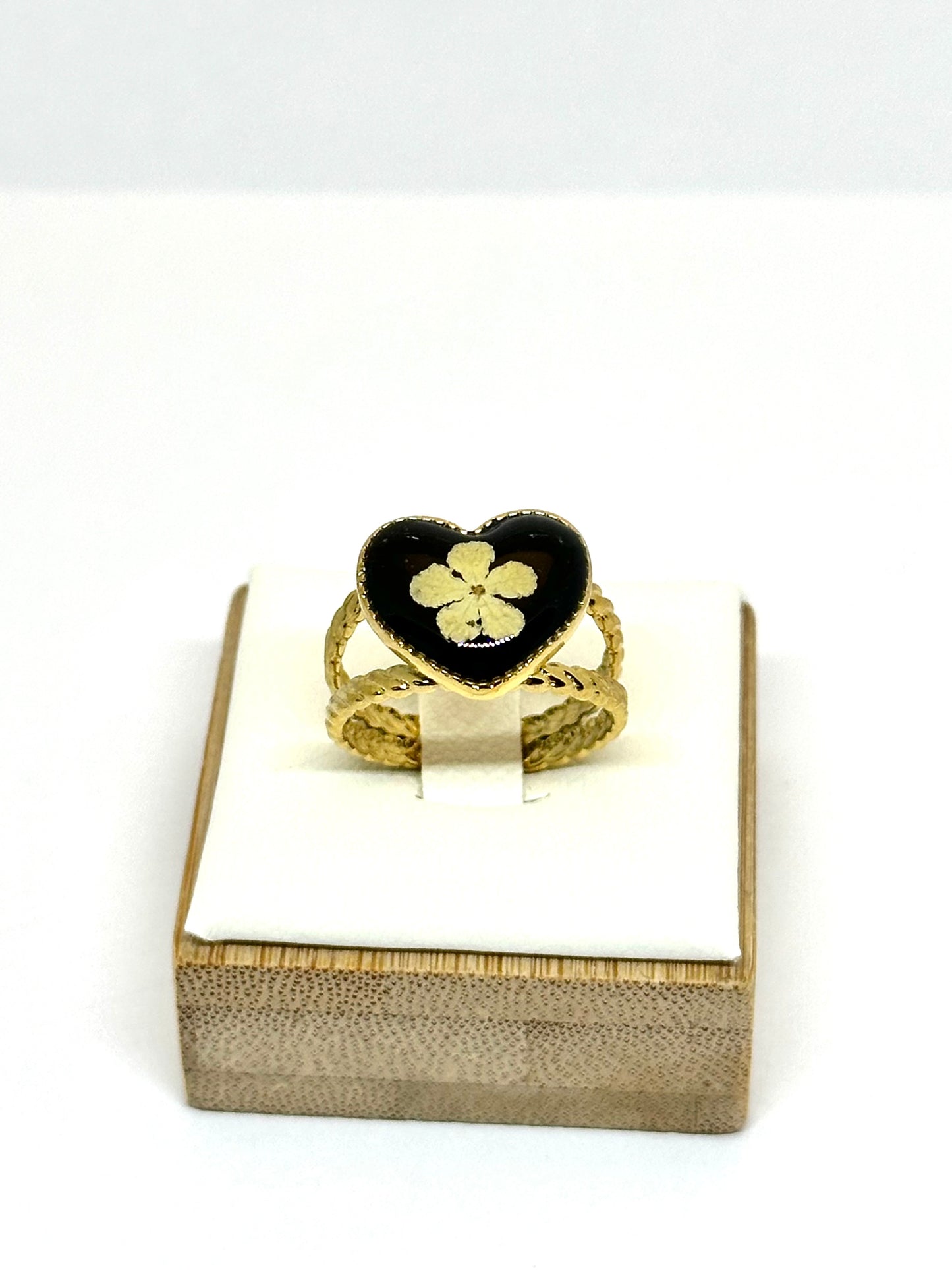 Vitklöverblomring - svart bakgrund 