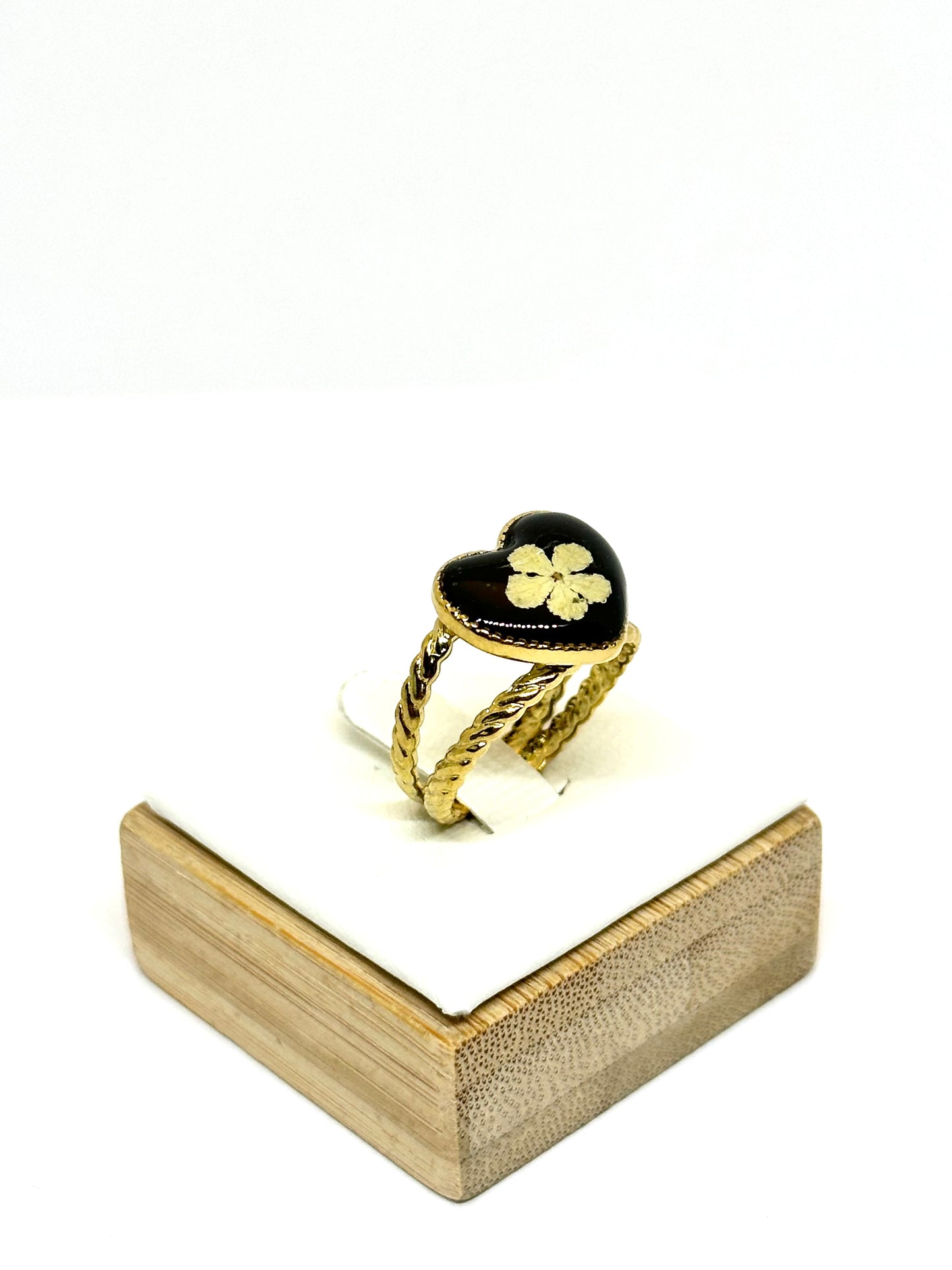 Vitklöverblomring - svart bakgrund 