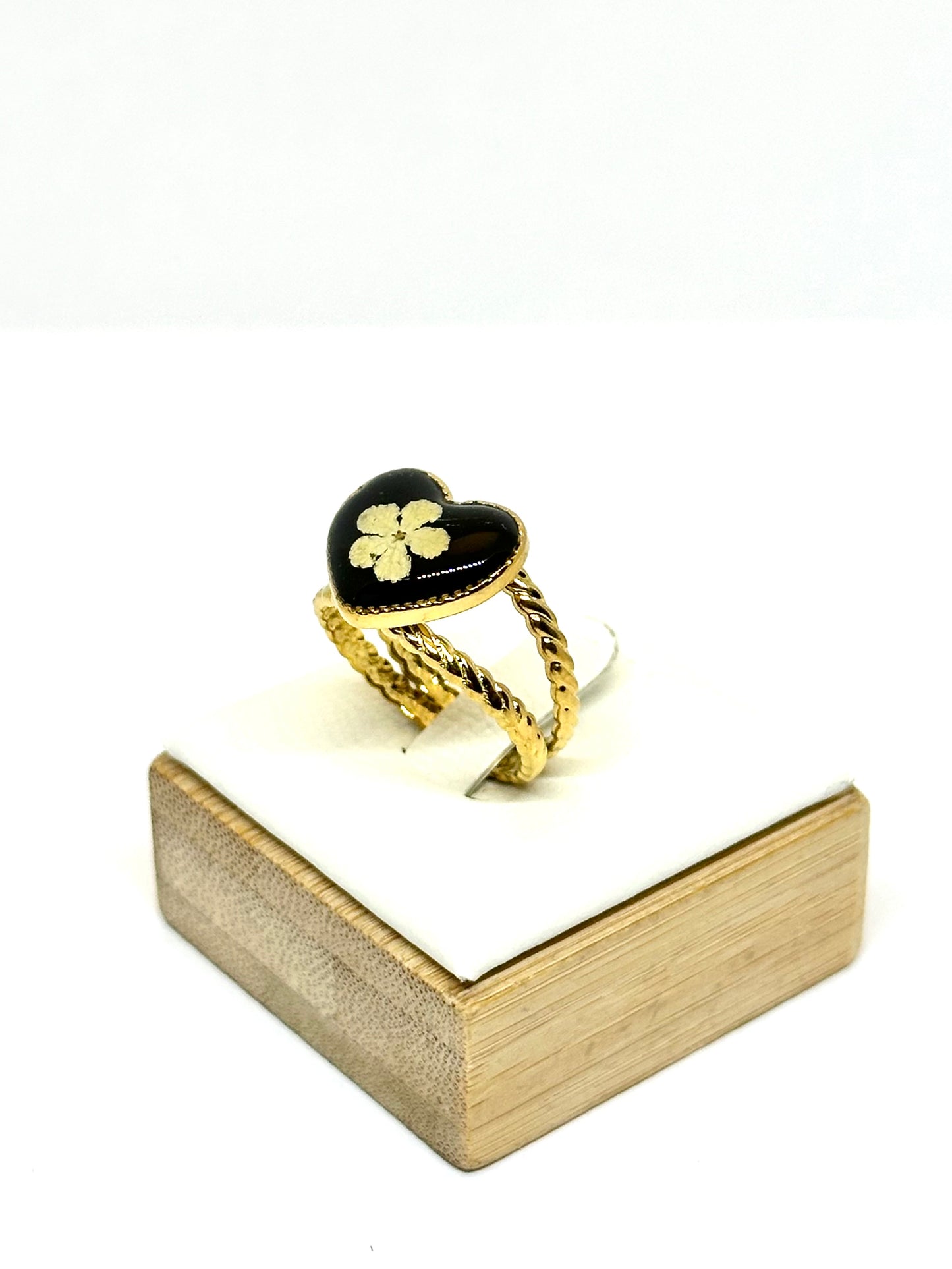 Vitklöverblomring - svart bakgrund 