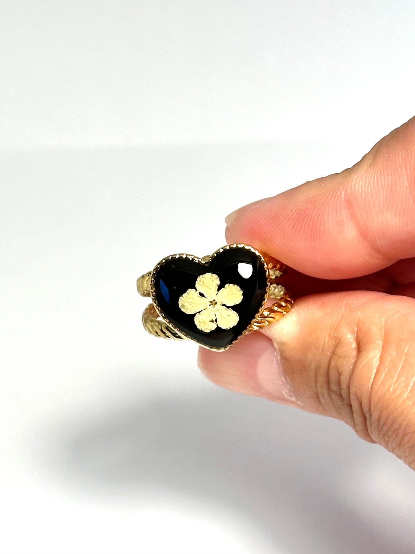 Vitklöverblomring - svart bakgrund 