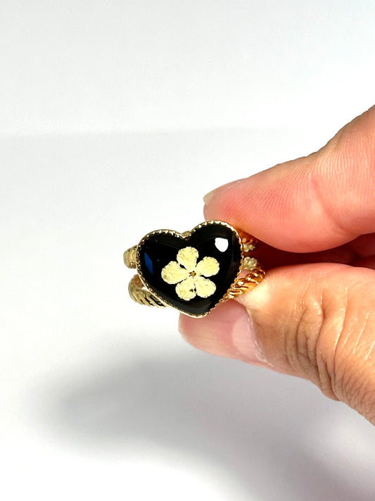 Vitklöverblomring - svart bakgrund 