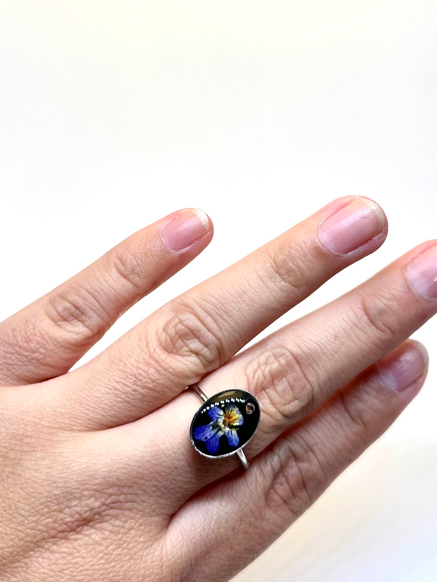 Mini violett ring - svart bakgrund