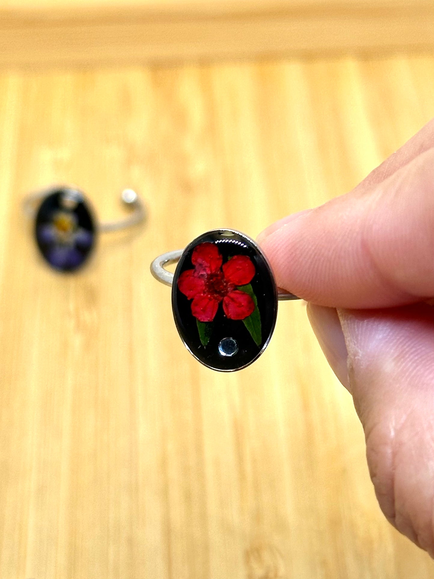 Veronica blommaring - svart bakgrund