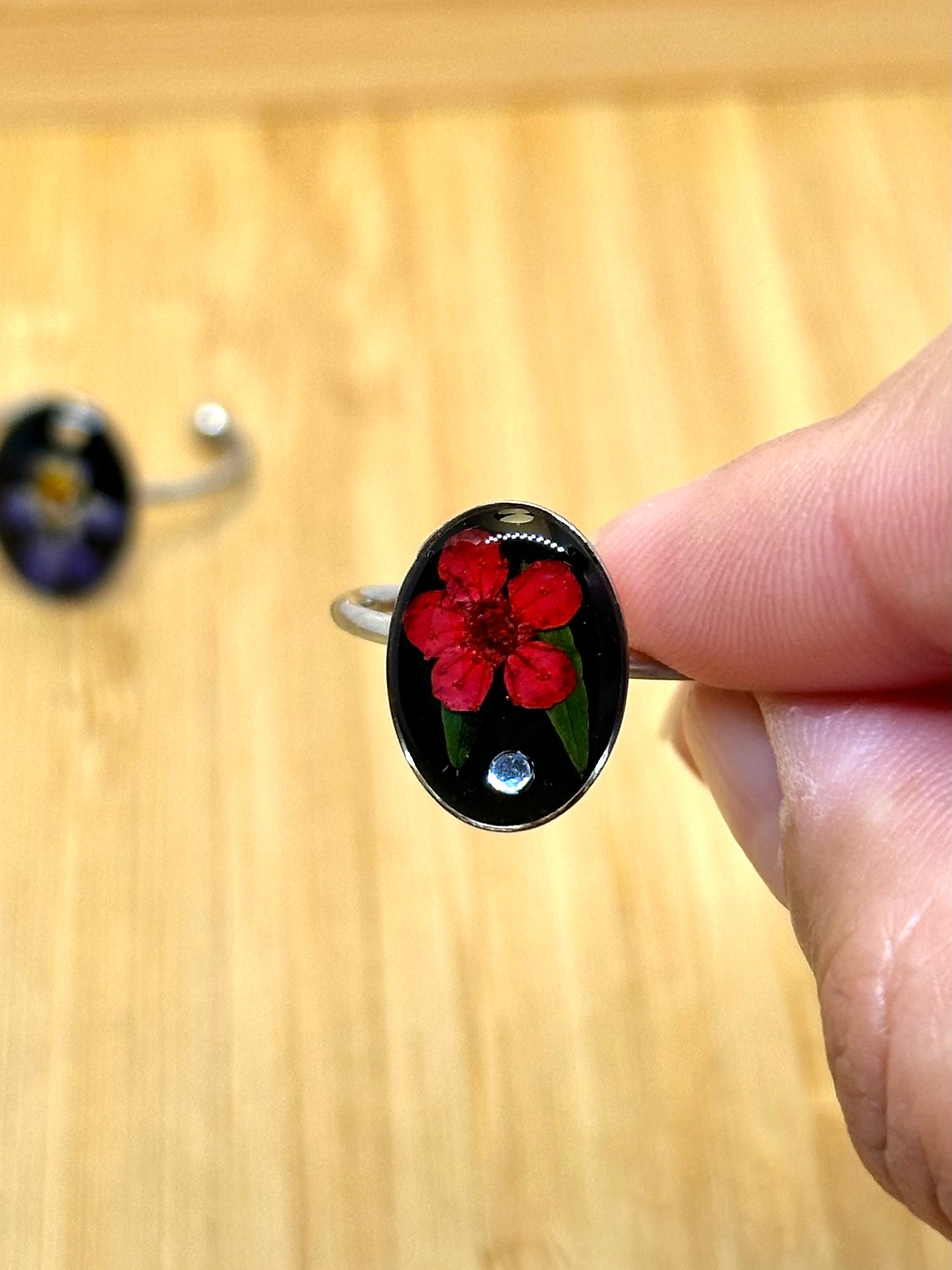 Veronica blommaring - svart bakgrund