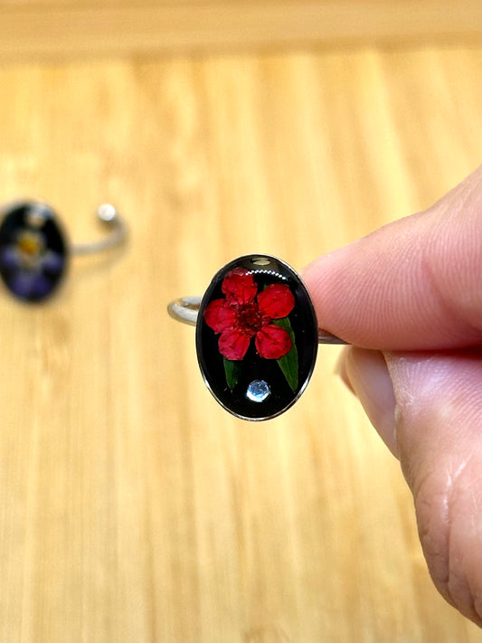 Veronica blommaring - svart bakgrund