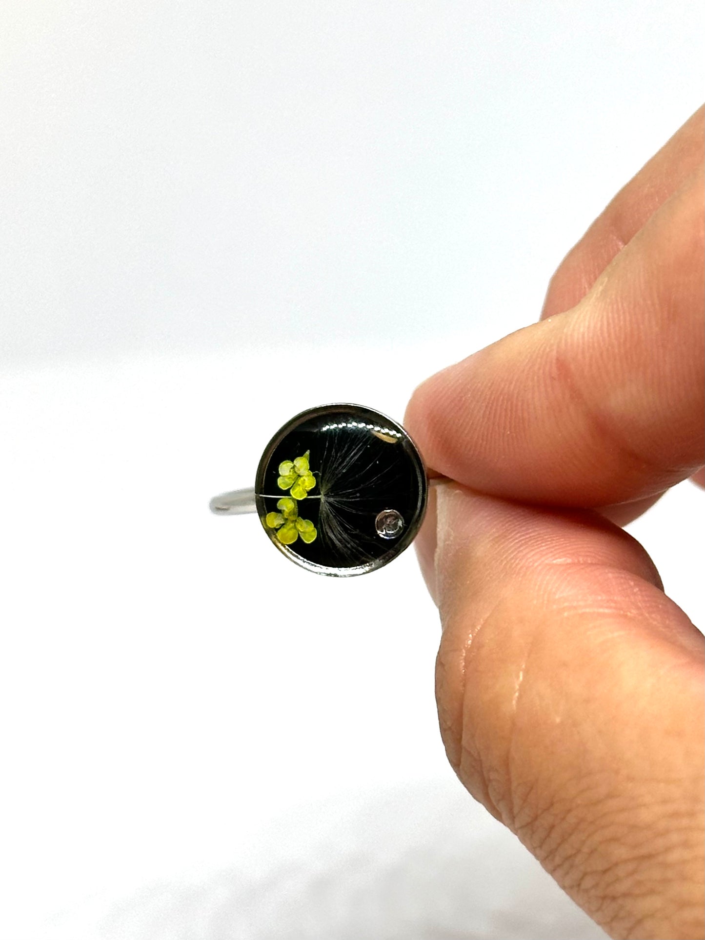 Maskrosring - svart bakgrund