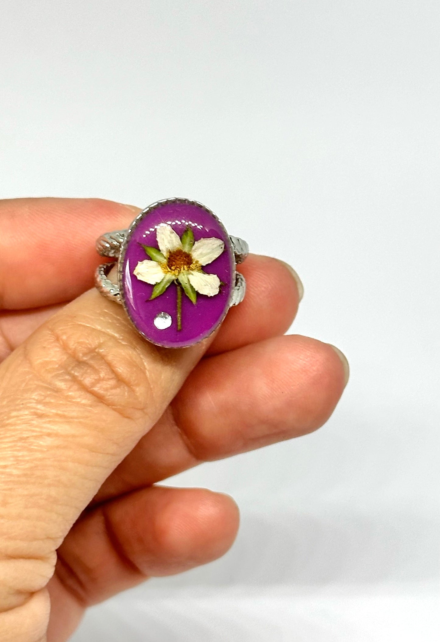 Lila ring - Jordgubbsblomma