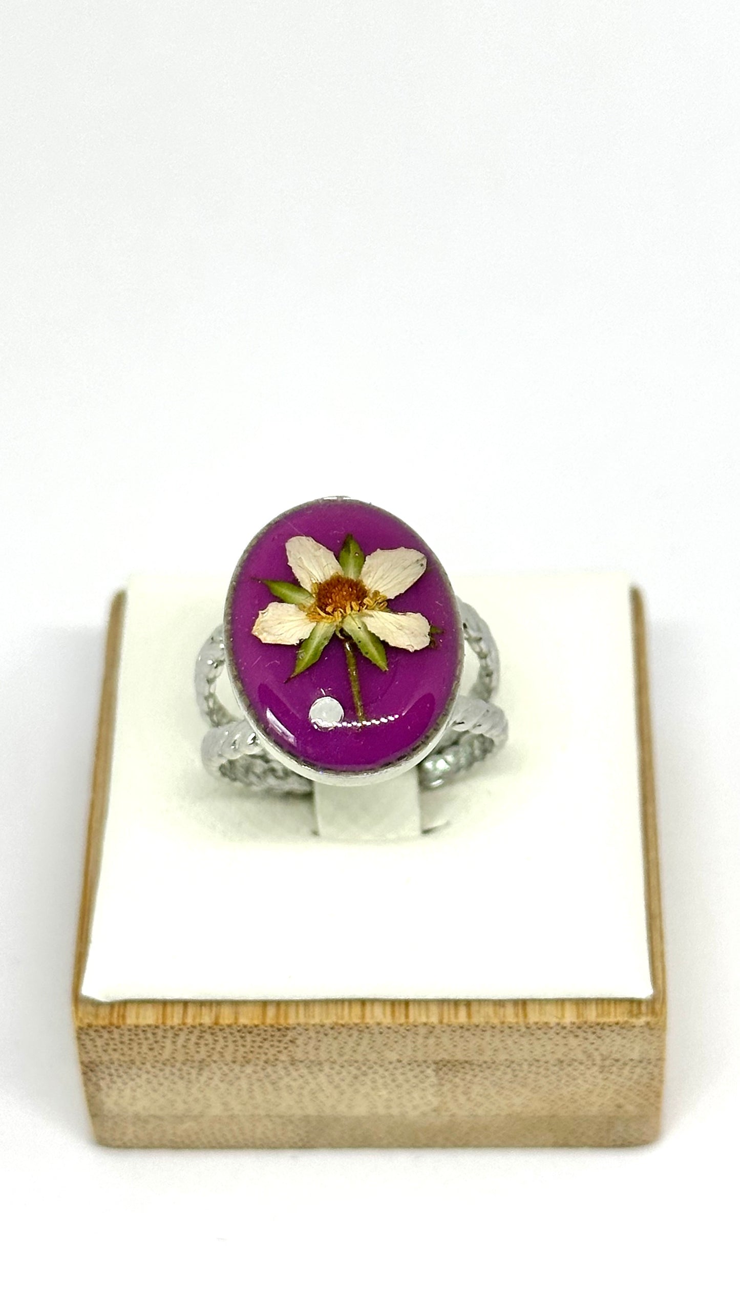 Lila ring - Jordgubbsblomma